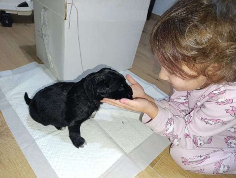 WhatsApp Image 2026-02-15 at 19.37.56 (1)