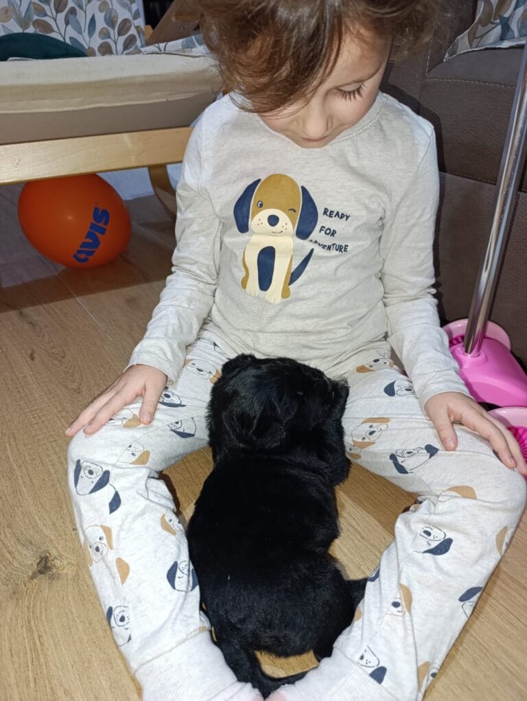 WhatsApp Image 2026-02-17 at 21.41.58