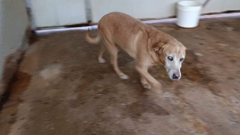 WhatsApp Image 2026-02-24 at 13.42.23