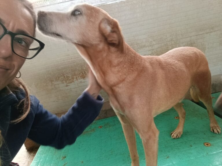 WhatsApp Image 2026-02-24 at 13.42.50 (1)