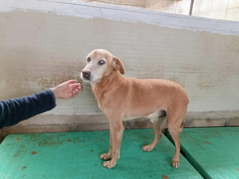 WhatsApp Image 2026-02-24 at 13.42.50 (2)