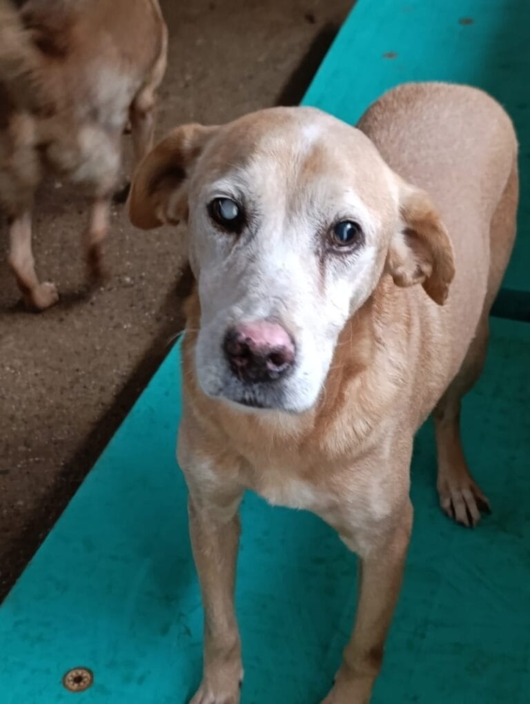 WhatsApp Image 2026-02-24 at 13.42.50