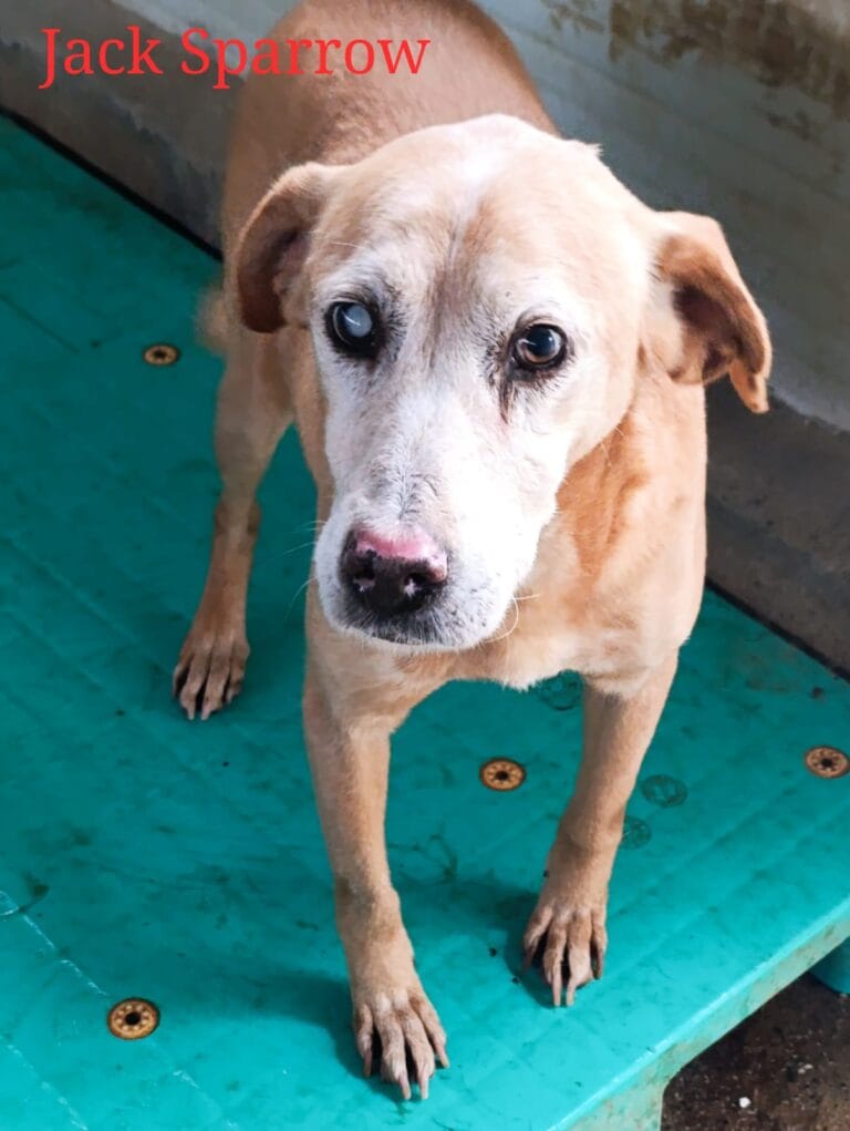 WhatsApp Image 2026-02-24 at 13.42.51 (1)