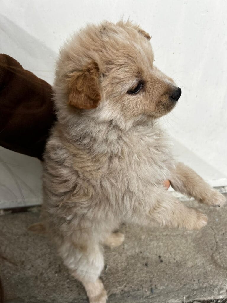 WhatsApp Image 2026-02-25 at 12.15.04 (1)