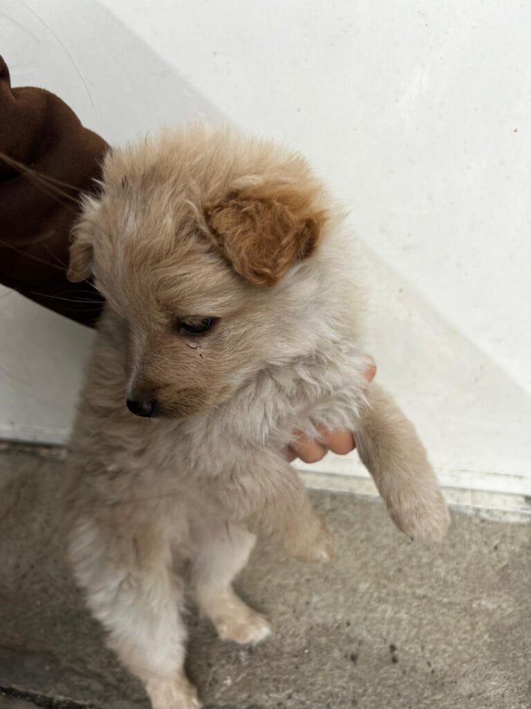 WhatsApp Image 2026-02-25 at 12.15.04 (2)