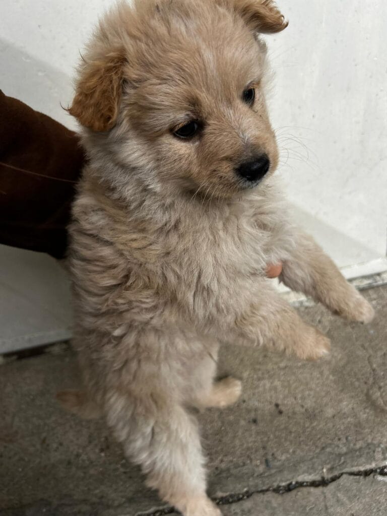 WhatsApp Image 2026-02-25 at 12.15.04 (3)