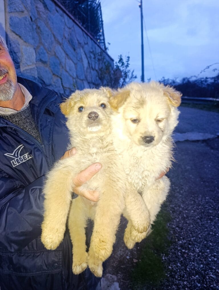 WhatsApp Image 2026-02-25 at 12.15.04 (5)