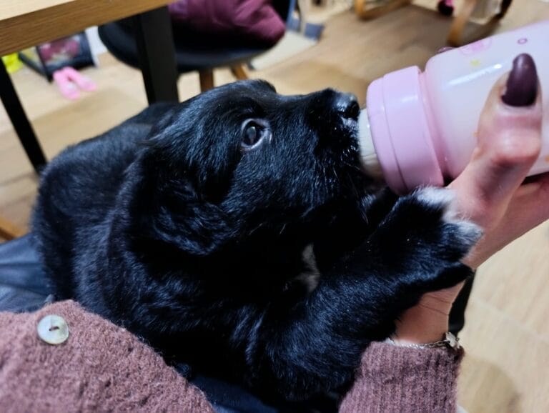 WhatsApp Image 2026-02-27 at 20.36.55