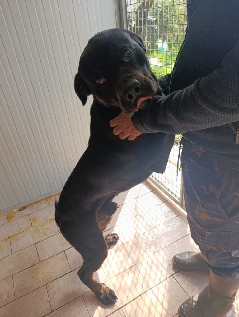 WhatsApp Image 2026-02-28 at 22.31.11 (1)