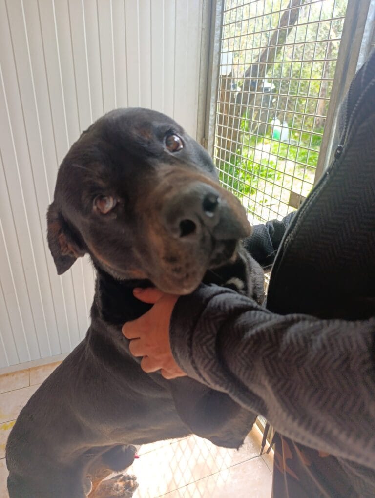 WhatsApp Image 2026-02-28 at 22.31.11