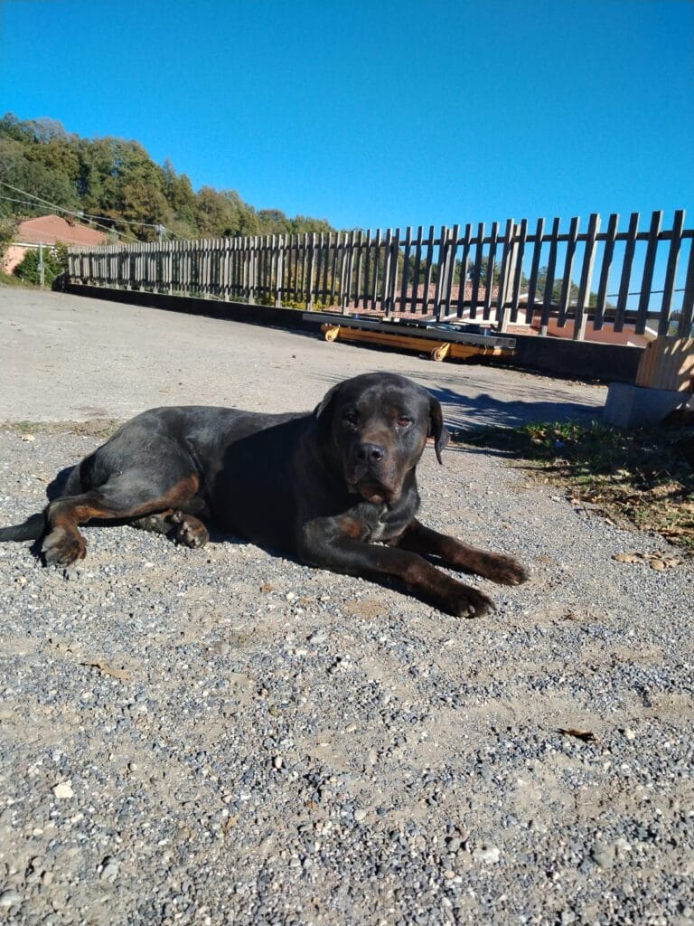 WhatsApp Image 2026-02-28 at 22.31.16