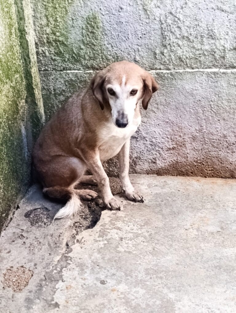 WhatsApp Image 2026-03-01 at 10.44.06 (1)