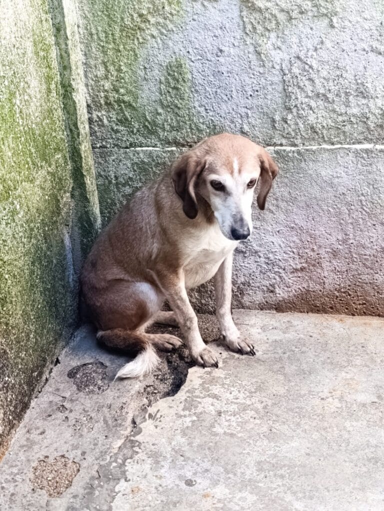 WhatsApp Image 2026-03-01 at 10.44.06 (2)