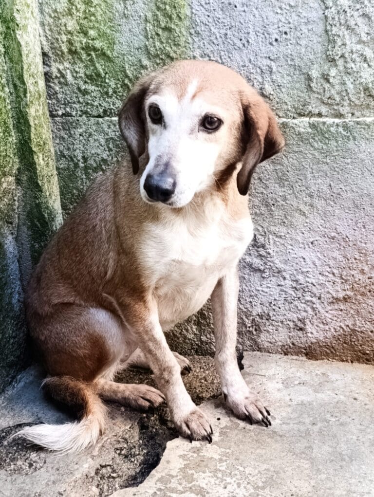 WhatsApp Image 2026-03-01 at 10.44.06 (3)