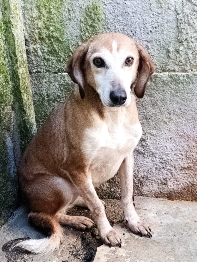 WhatsApp Image 2026-03-01 at 10.44.06 (5)