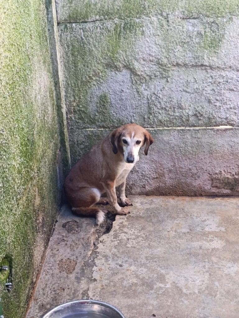 WhatsApp Image 2026-03-01 at 10.44.06