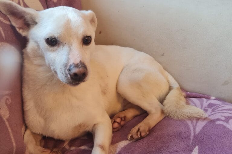 WhatsApp Image 2026-03-03 at 15.33.40 (3)