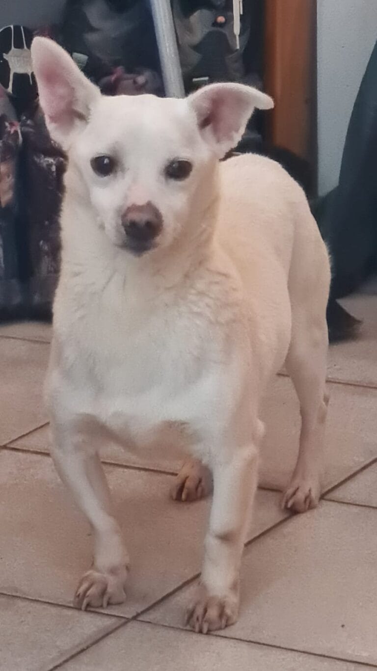 WhatsApp Image 2026-03-03 at 15.33.40