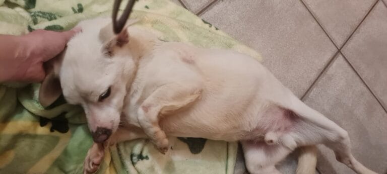 WhatsApp Image 2026-03-03 at 15.33.41