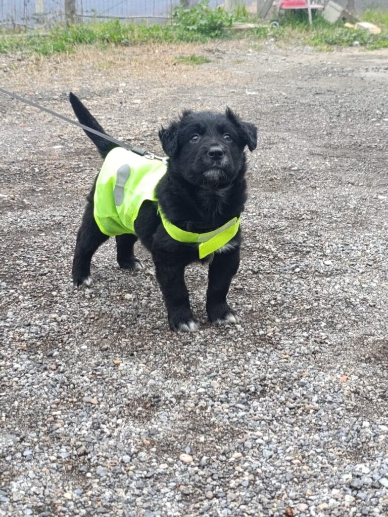 WhatsApp Image 2026-03-07 at 15.19.07