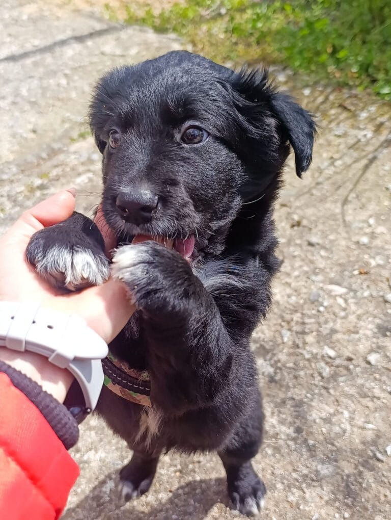 WhatsApp Image 2026-03-10 at 12.10.43 (1)