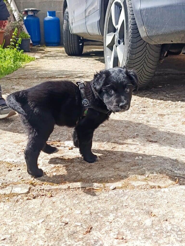 WhatsApp Image 2026-03-10 at 12.10.43