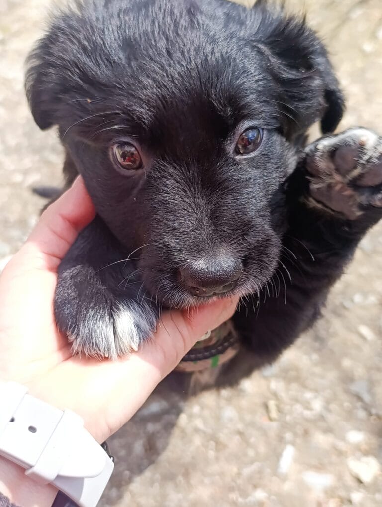 WhatsApp Image 2026-03-10 at 12.10.44