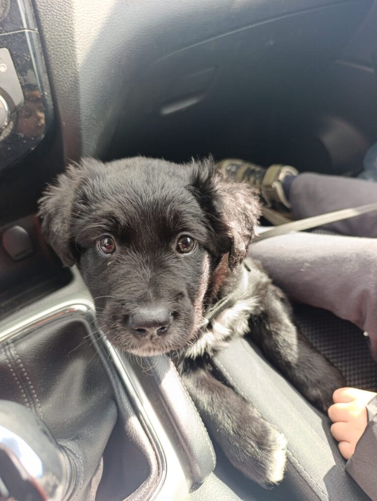 WhatsApp Image 2026-03-10 at 13.23.11