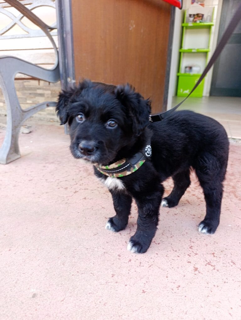 WhatsApp Image 2026-03-11 at 12.56.44