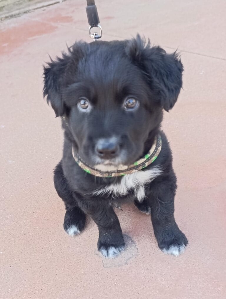 WhatsApp Image 2026-03-11 at 12.56.45 (4)