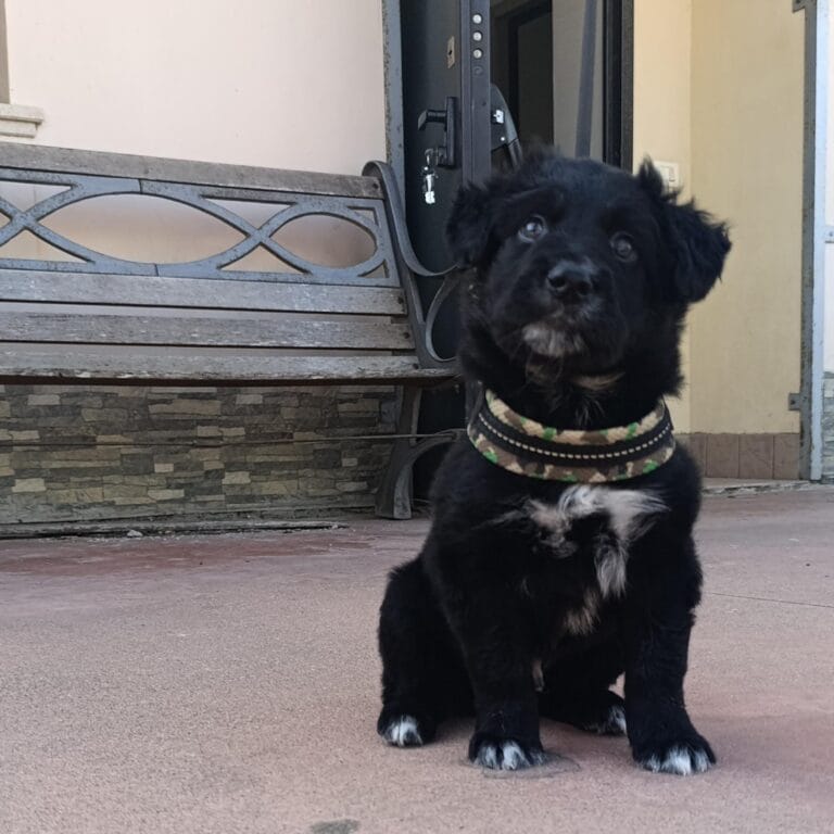 WhatsApp Image 2026-03-11 at 12.56.45 (6)