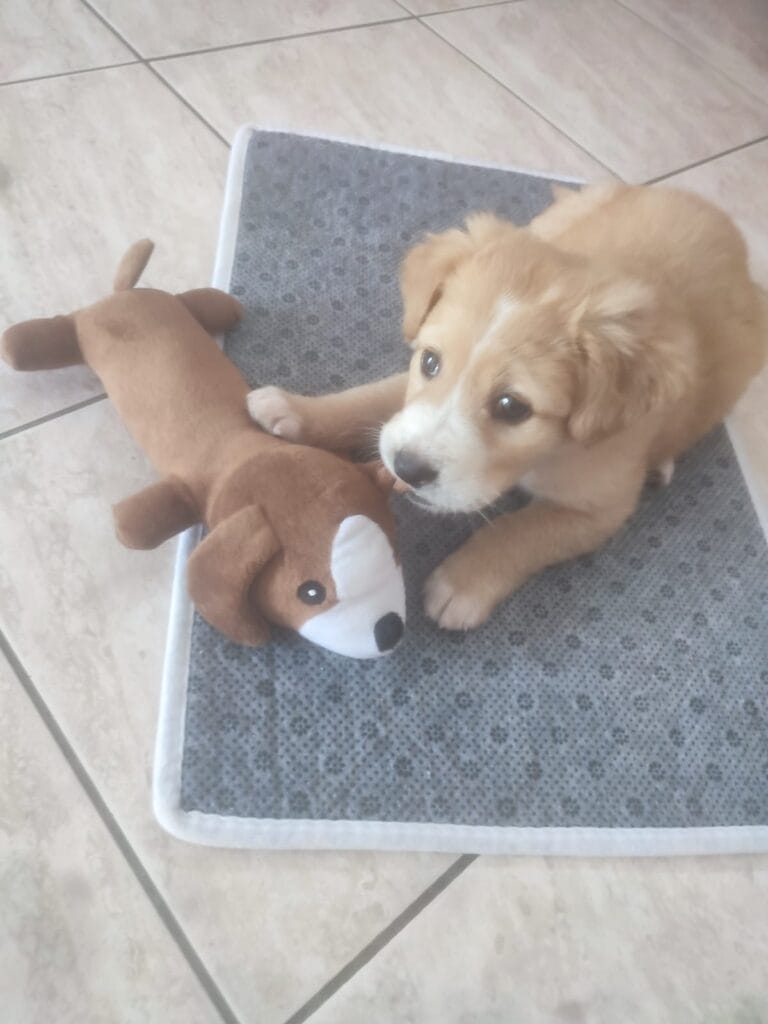 WhatsApp Image 2026-03-18 at 14.29.03 (2)