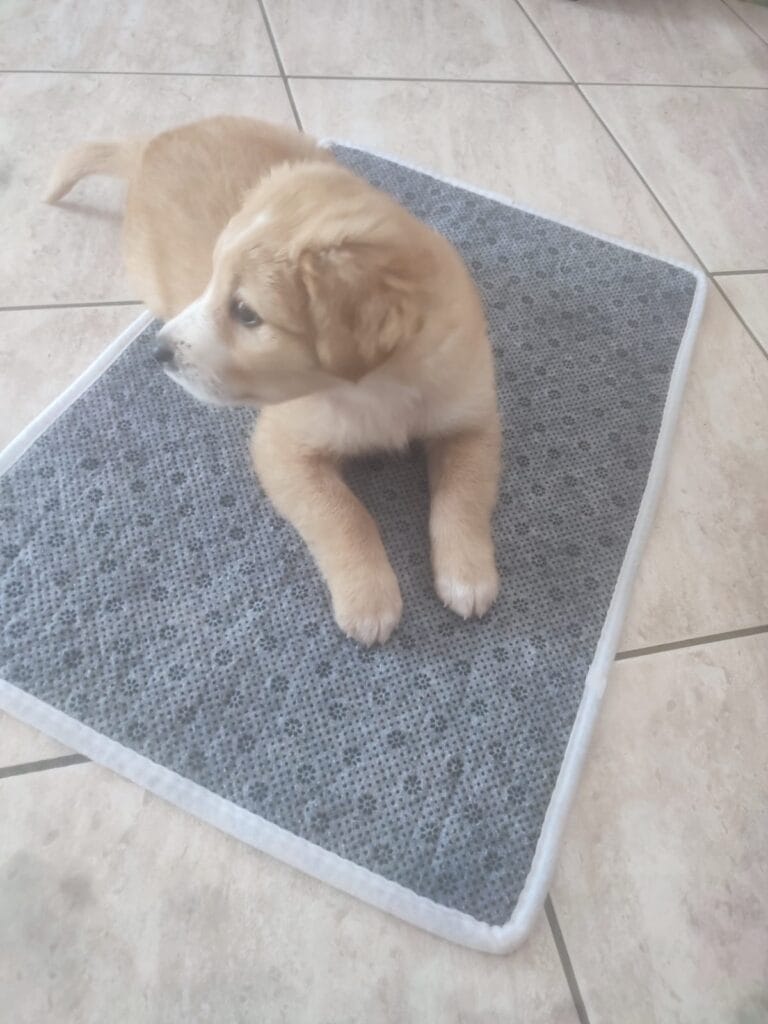 WhatsApp Image 2026-03-18 at 14.29.04 (2)