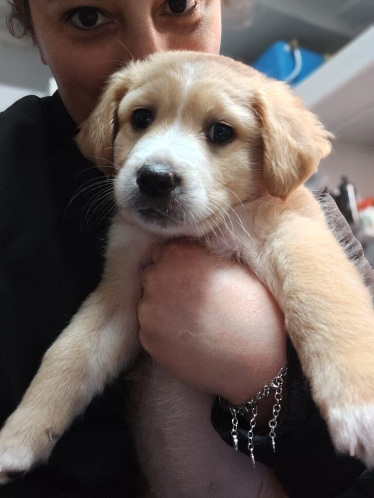 WhatsApp Image 2026-03-19 at 19.09.37 (1)