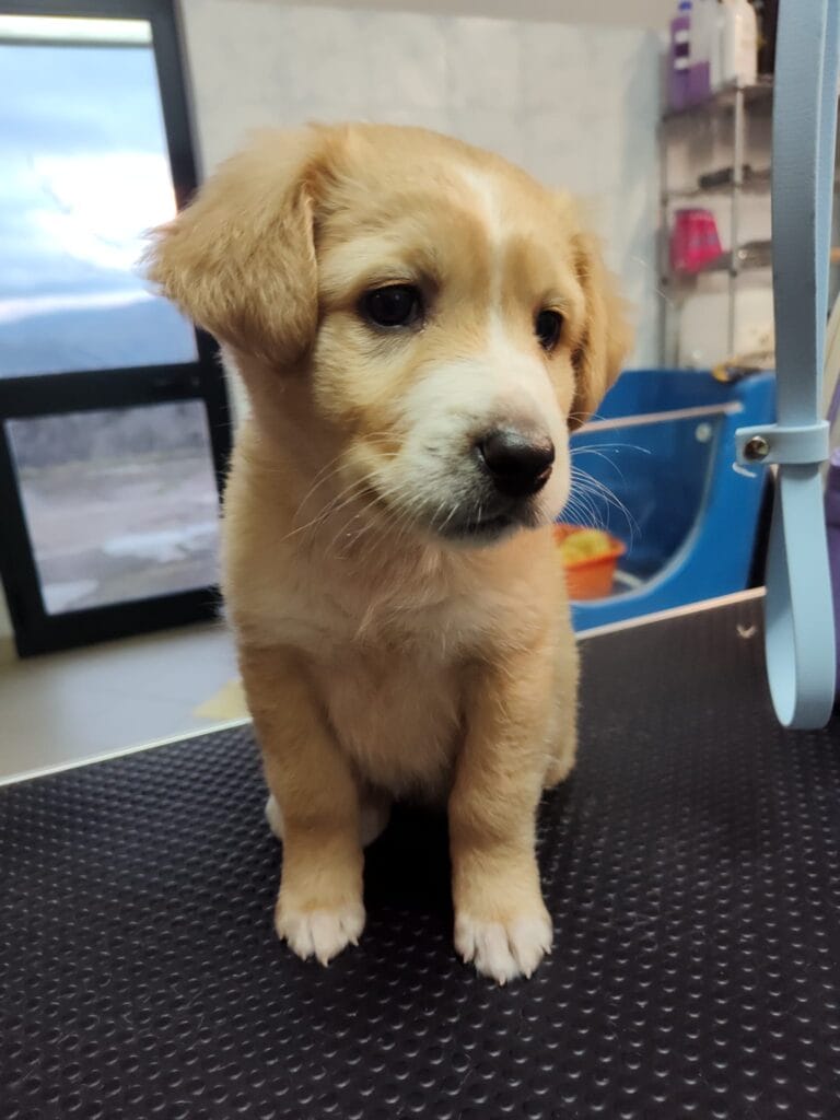 WhatsApp Image 2026-03-19 at 19.09.37 (2)