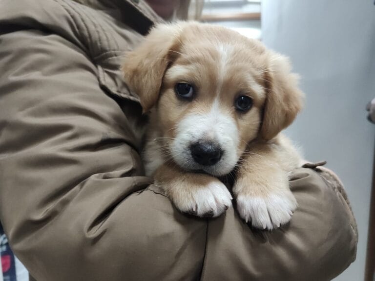 WhatsApp Image 2026-03-19 at 19.09.38 (3)