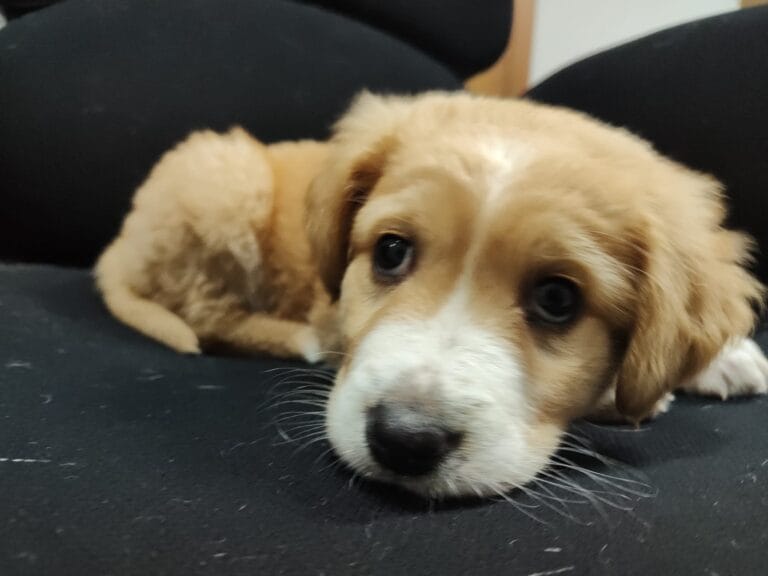 WhatsApp Image 2026-03-19 at 19.09.39 (2)