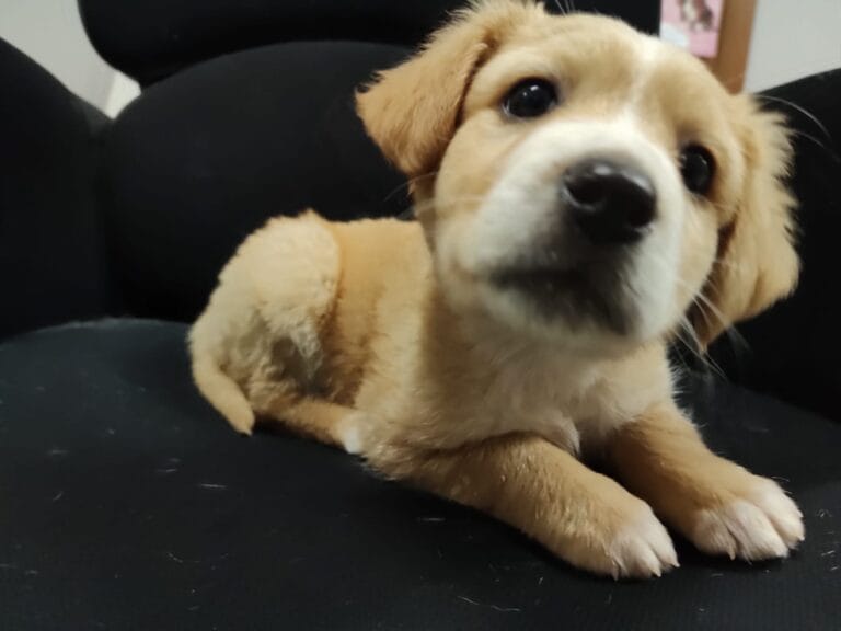 WhatsApp Image 2026-03-19 at 19.09.39 (4)