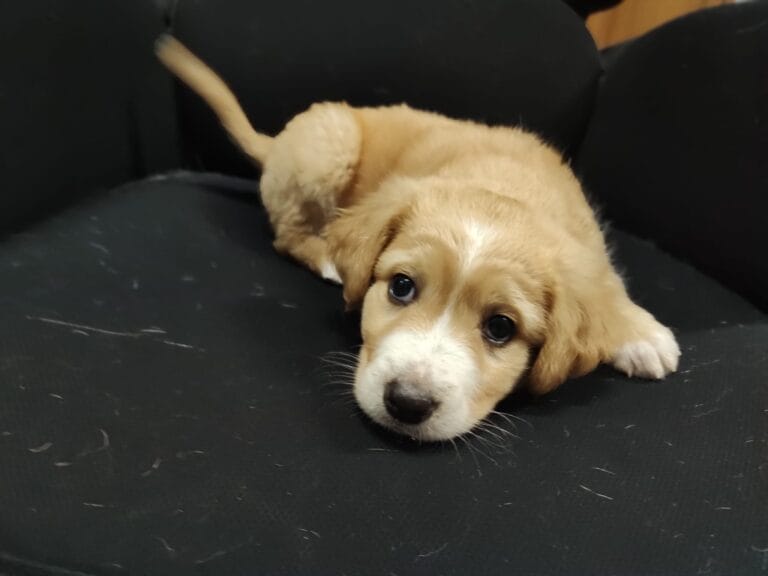 WhatsApp Image 2026-03-19 at 19.09.39