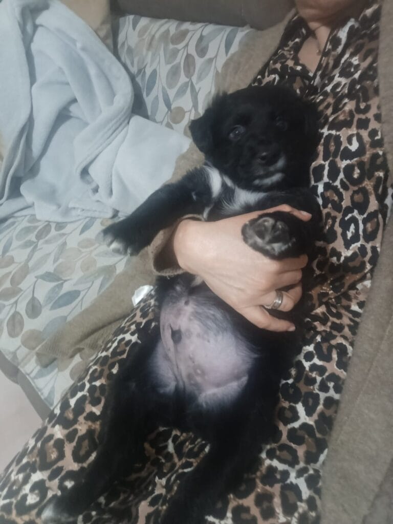 ec4c3df3-34a3-4f7d-88fd-0de6f0749a13