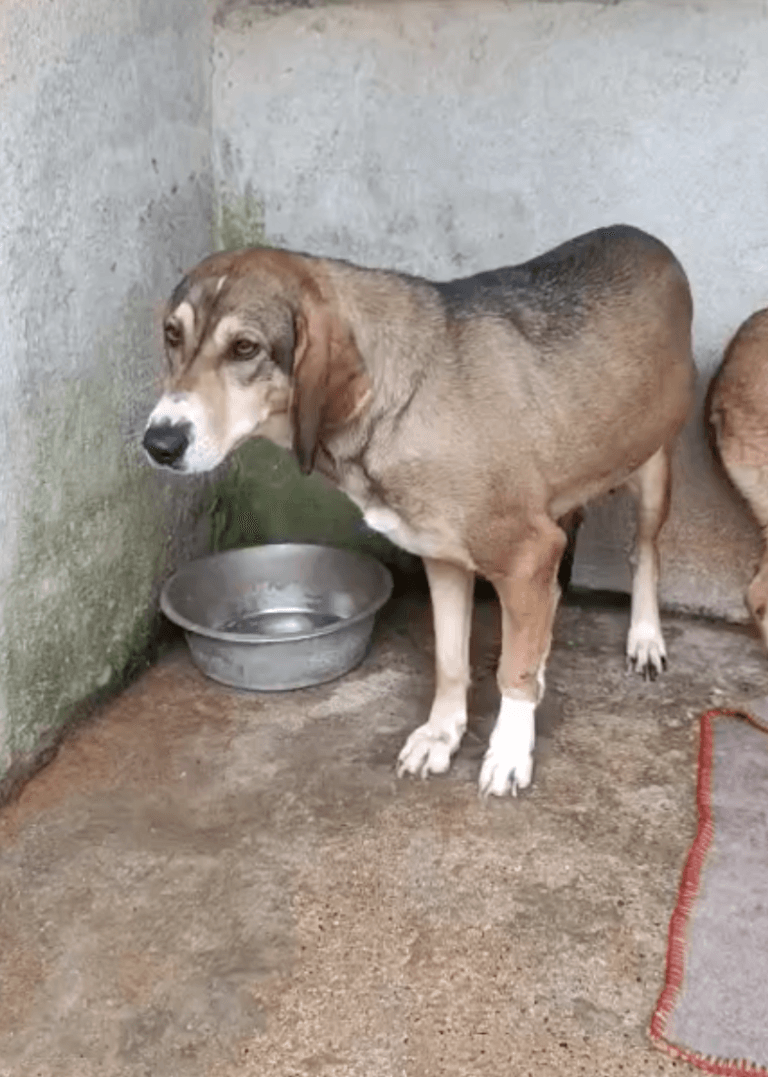 Screenshot 2026-02-28 at 10.26.34 PM