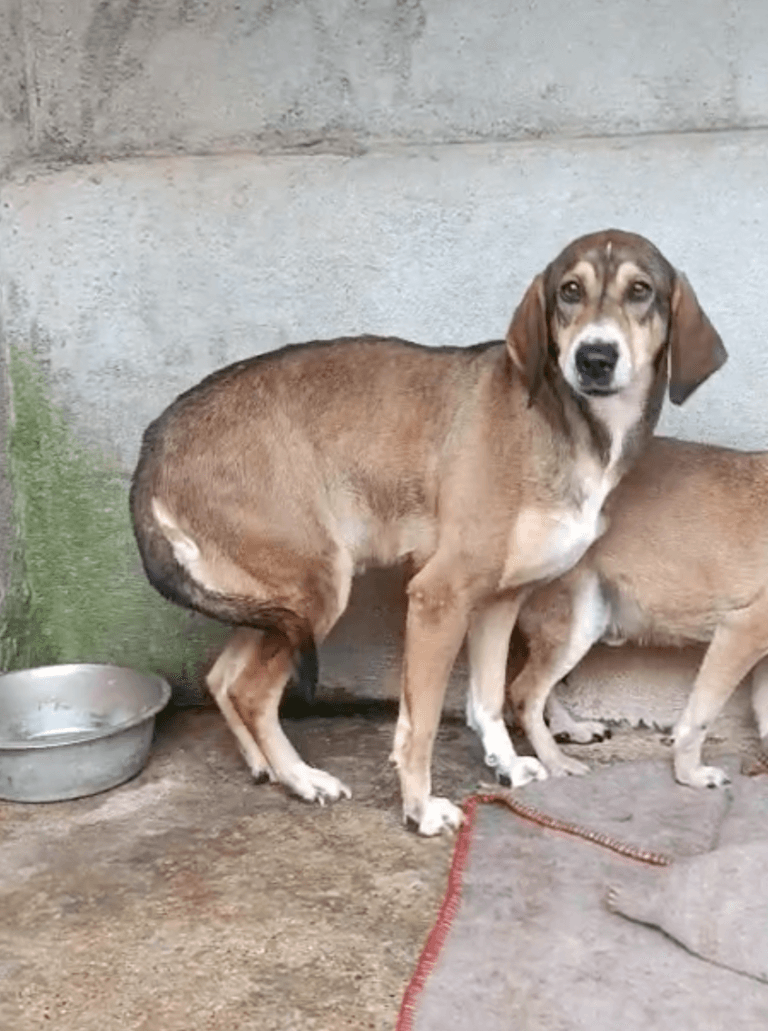 Screenshot 2026-02-28 at 10.27.04 PM