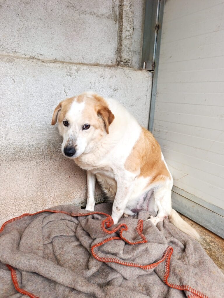 WhatsApp Image 2026-02-27 at 14.51.49 (1)