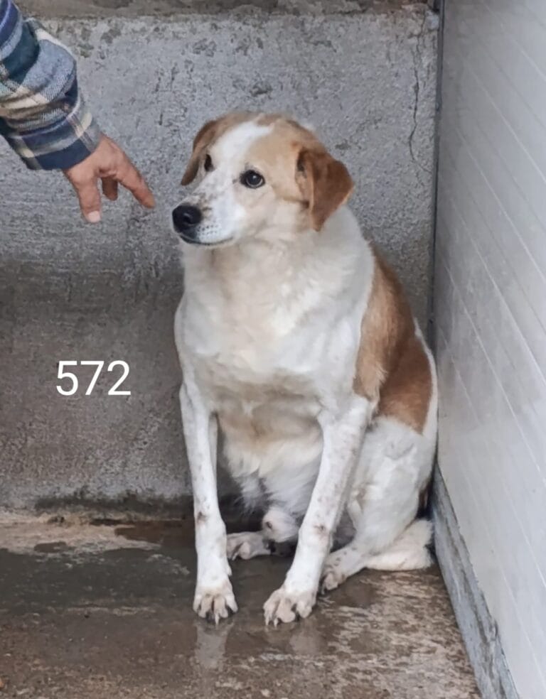 WhatsApp Image 2026-02-27 at 20.20.09 (2)