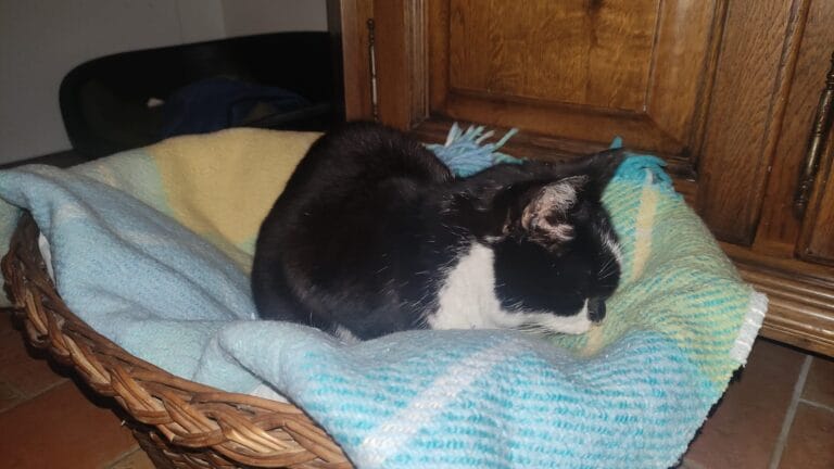 WhatsApp Image 2026-03-20 at 21.14.27