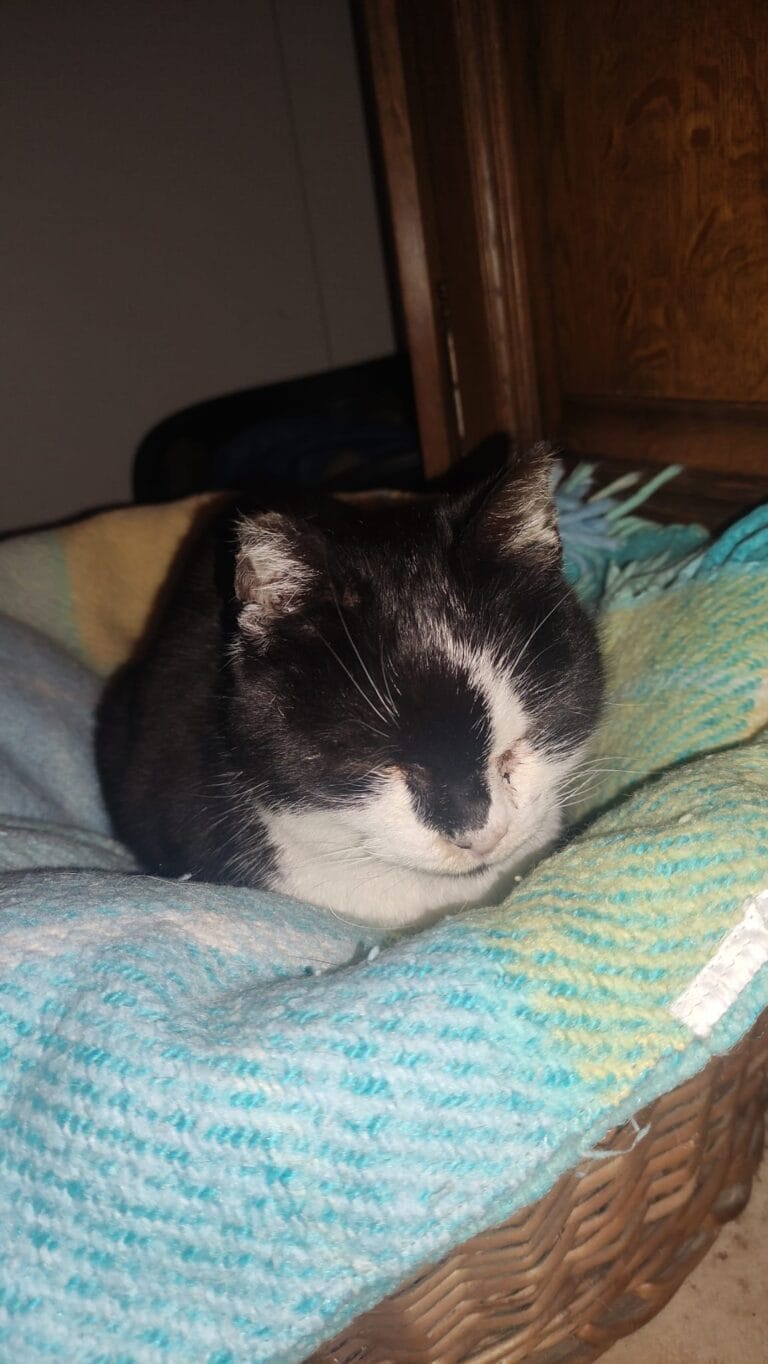 WhatsApp Image 2026-03-20 at 21.14.28