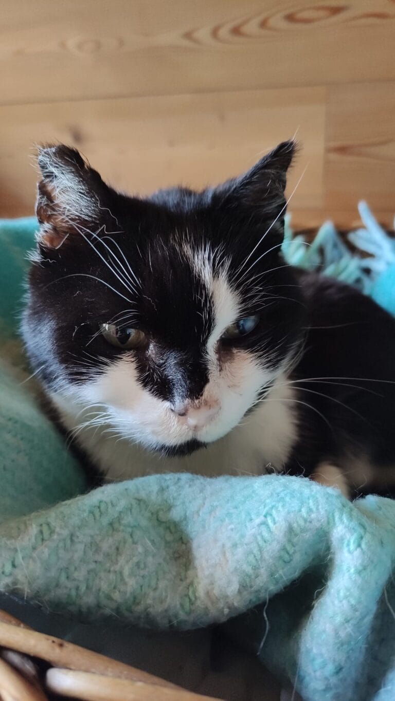 WhatsApp Image 2026-03-31 at 18.41.29 (1)