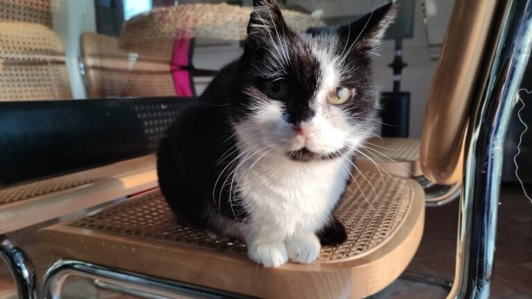 WhatsApp Image 2026-04-01 at 22.15.01 (3)