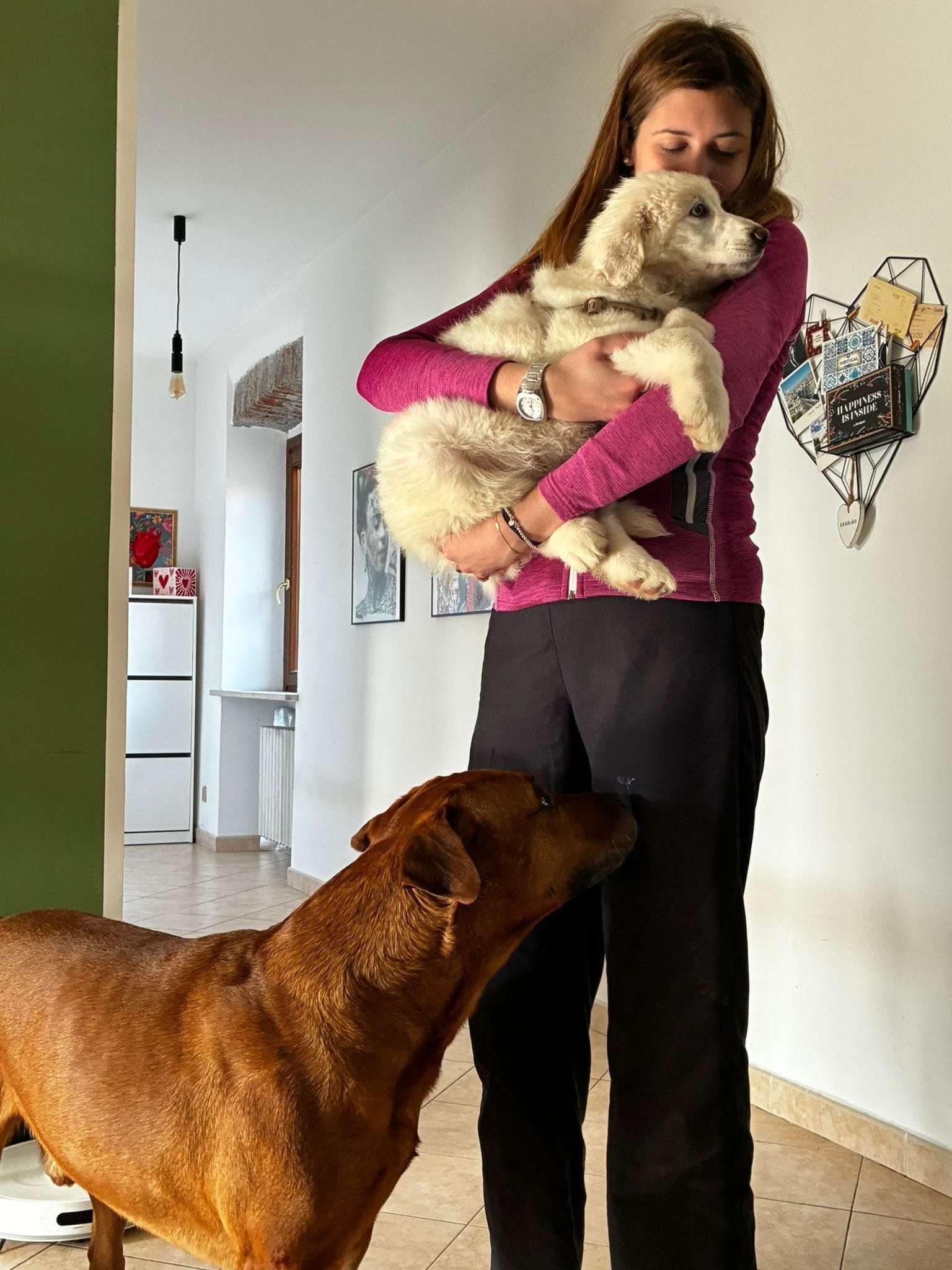 Dafne adottata in Piemonte.