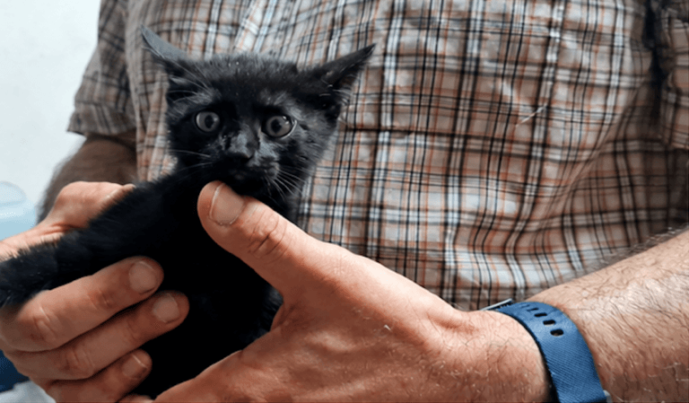 Luna3